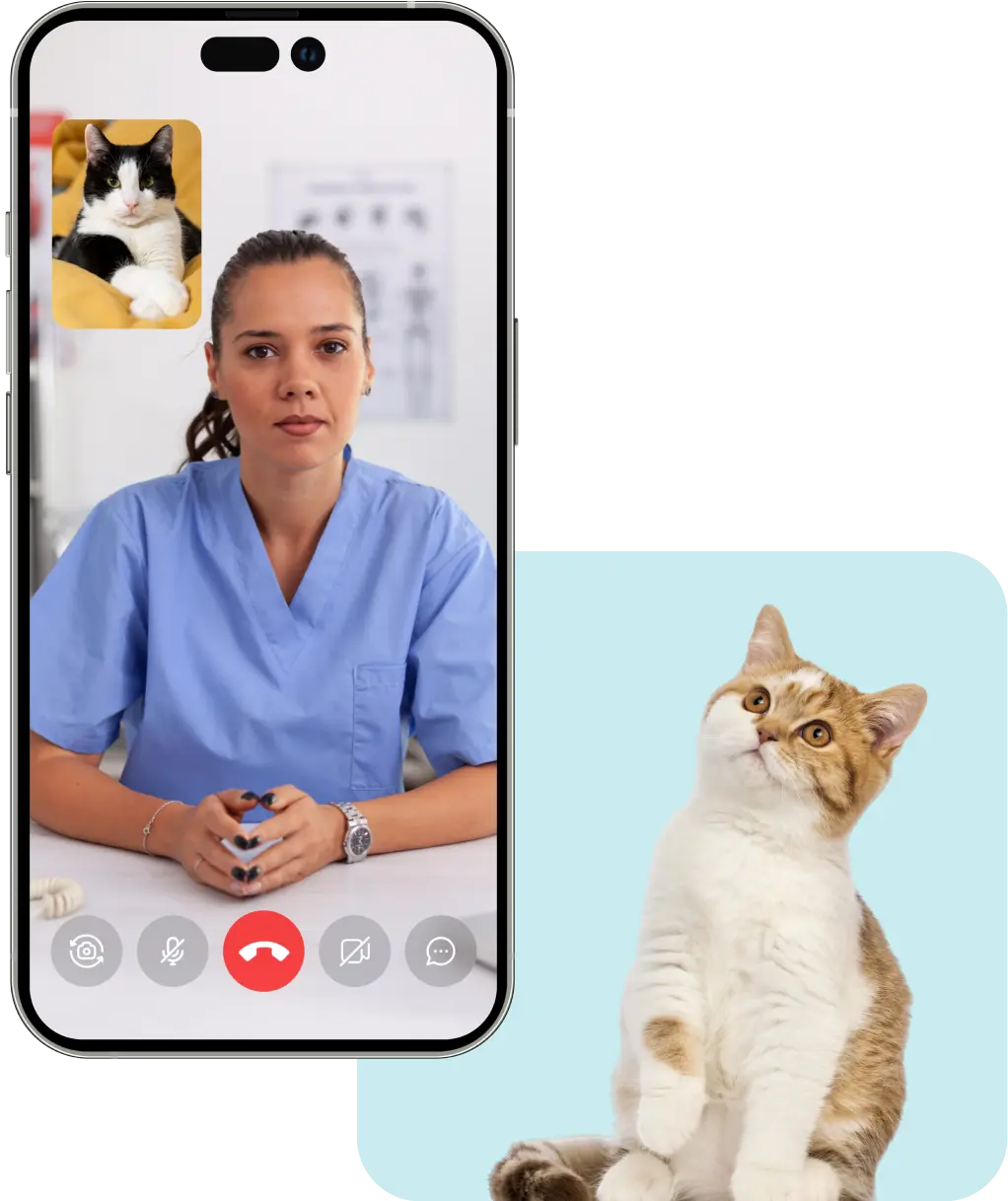 Online video consultation