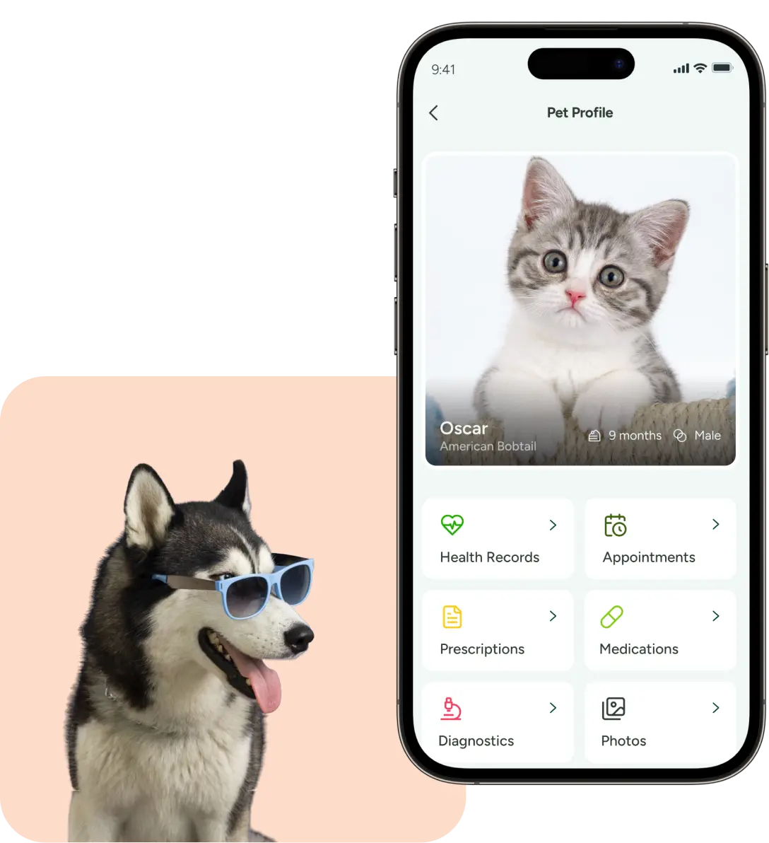 Pet health monitoring